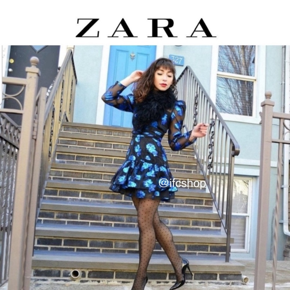 NWT Zara Floral Organza Mini Dress